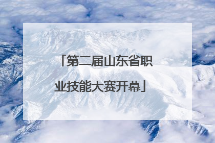 第二届山东省职业技能大赛开幕