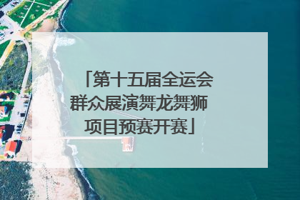 第十五届全运会群众展演舞龙舞狮项目预赛开赛