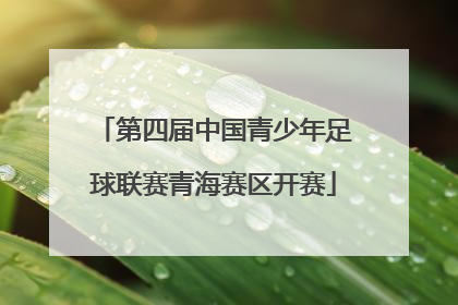 第四届中国青少年足球联赛青海赛区开赛