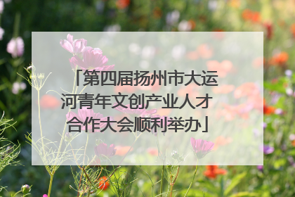 第四届扬州市大运河青年文创产业人才合作大会顺利举办