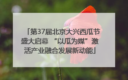 第37届北京大兴西瓜节盛大启幕 “以瓜为媒”激活产业融合发展新动能