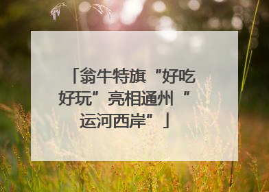 翁牛特旗“好吃好玩”亮相通州“运河西岸”