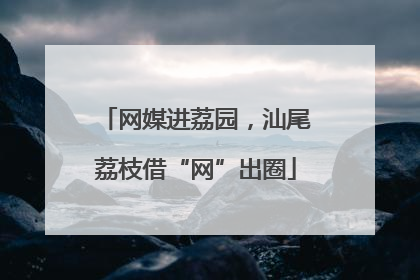 网媒进荔园，汕尾荔枝借“网”出圈