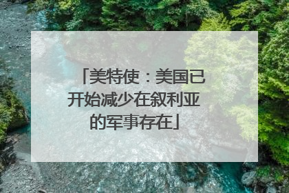 美特使：美国已开始减少在叙利亚的军事存在