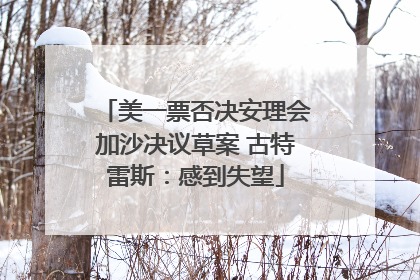 美一票否决安理会加沙决议草案 古特雷斯：感到失望