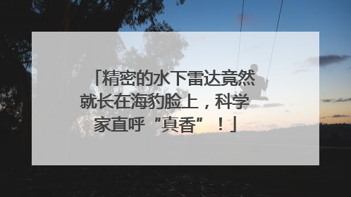 精密的水下雷达竟然就长在海豹脸上，科学家直呼“真香”！