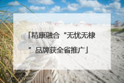 精康融合“无忧无棣”品牌获全省推广