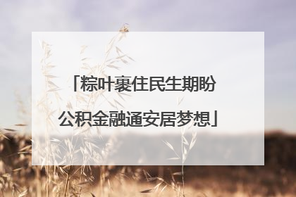 粽叶裹住民生期盼 公积金融通安居梦想