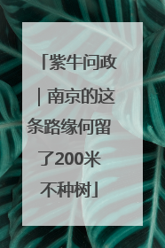 紫牛问政｜南京的这条路缘何留了200米不种树