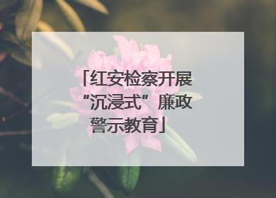 红安检察开展“沉浸式”廉政警示教育