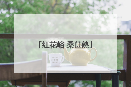 红花峪 桑葚熟