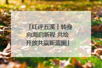 红评五溪丨转身向海启新程 共绘开放共赢新蓝图