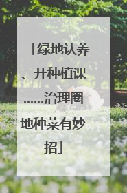 绿地认养、开种植课……治理圈地种菜有妙招