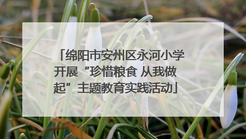 绵阳市安州区永河小学开展“珍惜粮食 从我做起”主题教育实践活动