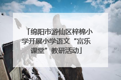 绵阳市游仙区梓棉小学开展小学语文“富乐课堂”教研活动