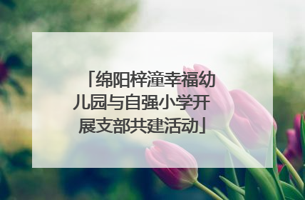 绵阳梓潼幸福幼儿园与自强小学开展支部共建活动