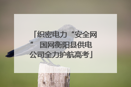 织密电力“安全网” 国网衡阳县供电公司全力护航高考