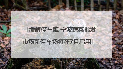 缓解停车难 宁波蔬菜批发市场新停车场将在7月启用