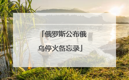 俄罗斯公布俄乌停火备忘录