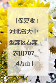 保夏收！河北省大中型灌区春灌农田707.4万亩