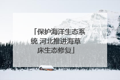 保护海洋生态系统 河北推进海草床生态修复