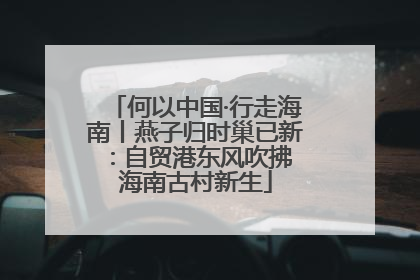 何以中国·行走海南丨燕子归时巢已新：自贸港东风吹拂 海南古村新生