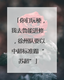 你们玩梗，我去鲁能进修，徐州队要以中超标准踢“苏超”