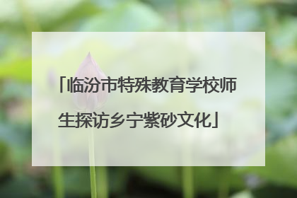 临汾市特殊教育学校师生探访乡宁紫砂文化