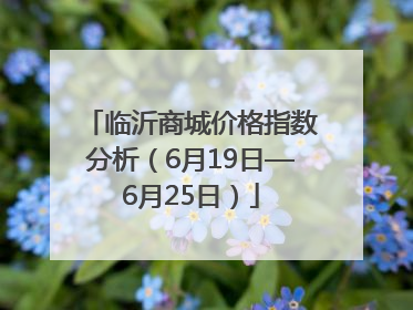 临沂商城价格指数分析（6月19日—6月25日）