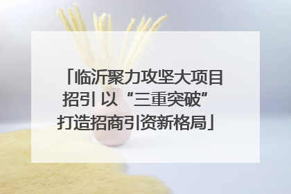 临沂聚力攻坚大项目招引 以“三重突破”打造招商引资新格局