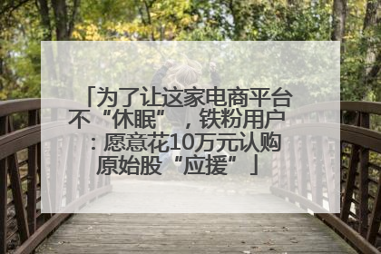 为了让这家电商平台不“休眠”，铁粉用户：愿意花10万元认购原始股“应援”