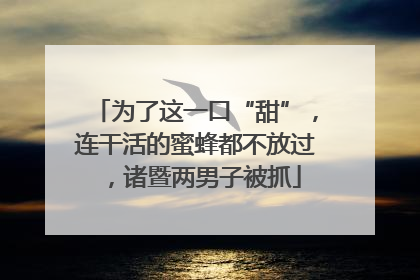 为了这一口“甜”，连干活的蜜蜂都不放过，诸暨两男子被抓