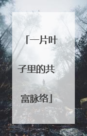 一片叶子里的共富脉络