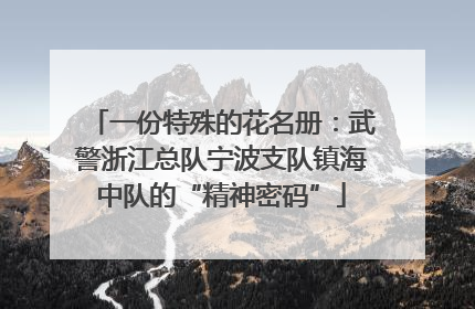 一份特殊的花名册：武警浙江总队宁波支队镇海中队的“精神密码”