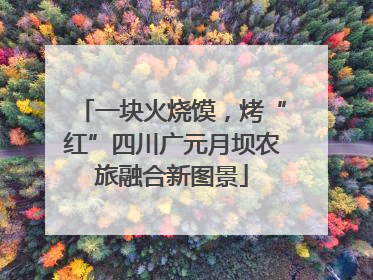 一块火烧馍，烤“红”四川广元月坝农旅融合新图景