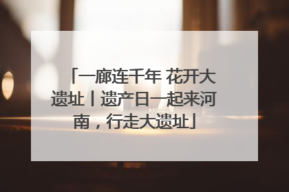 一廊连千年 花开大遗址丨遗产日一起来河南，行走大遗址