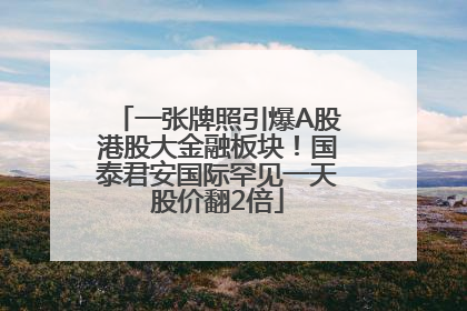 一张牌照引爆A股港股大金融板块！国泰君安国际罕见一天股价翻2倍