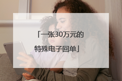 一张30万元的特殊电子回单