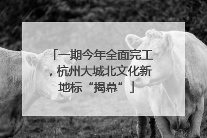 一期今年全面完工，杭州大城北文化新地标“揭幕”