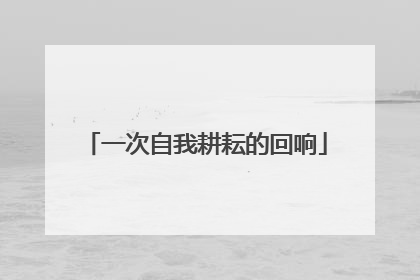 一次自我耕耘的回响