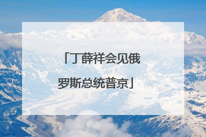 丁薛祥会见俄罗斯总统普京