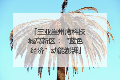 三亚崖州湾科技城高新区：“蓝色经济”动能澎湃