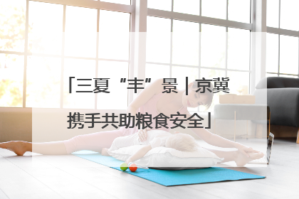 三夏“丰”景｜京冀携手共助粮食安全