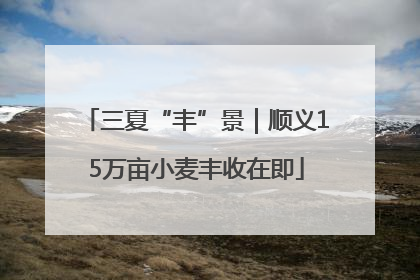 三夏“丰”景｜顺义15万亩小麦丰收在即