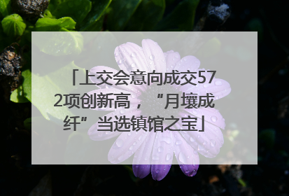上交会意向成交572项创新高，“月壤成纤”当选镇馆之宝