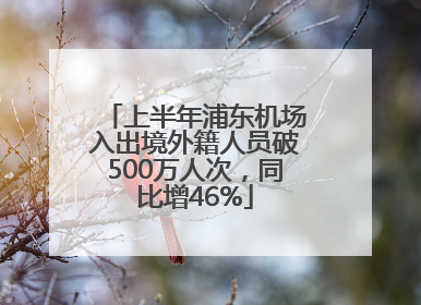 上半年浦东机场入出境外籍人员破500万人次，同比增46%