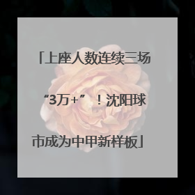 上座人数连续三场“3万+”！沈阳球市成为中甲新样板