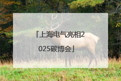 上海电气亮相2025碳博会