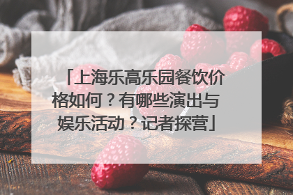 上海乐高乐园餐饮价格如何？有哪些演出与娱乐活动？记者探营