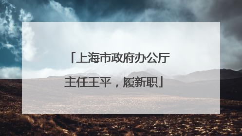上海市政府办公厅主任王平，履新职